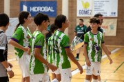 AConecta_MIFC_VDB_DIA2288