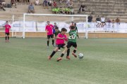 AConecta_DAY-23-223