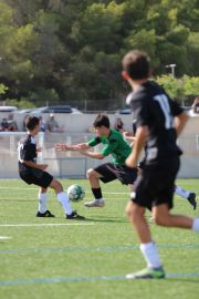 IMG_2657
