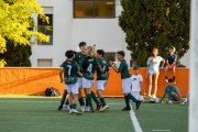 AConecta_MIFC_VDB_DIA23117