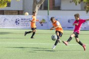 AConecta_DAY-24_LAST-DAY-157