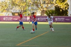 AConecta_MIFC_WT_2025_TARDE-260