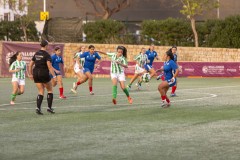 AConecta_MIFC_WT_2025_TARDE-368