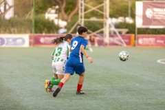 AConecta_MIFC_WT_2025_TARDE-372