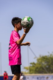 AConecta_MIFC_VDB_DIA20116