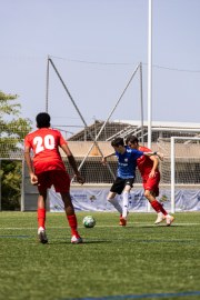 AConecta_MIFC_VDB_DIA20136