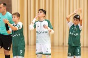 AConecta_MIFC_VDB_DIA20163