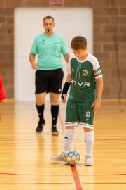 AConecta_MIFC_VDB_DIA20165
