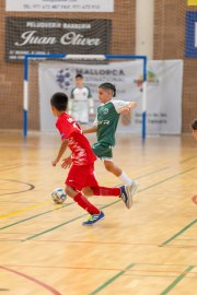 AConecta_MIFC_VDB_DIA20178