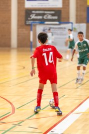 AConecta_MIFC_VDB_DIA20181