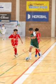 AConecta_MIFC_VDB_DIA20182