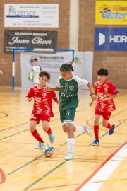 AConecta_MIFC_VDB_DIA20183