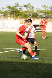 AConecta_MIFC_VDB_DIA20199