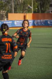 AConecta_MIFC_VDB_DIA2118