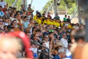 AConecta_charla-VICENTE-DEL-BOSQUE-231