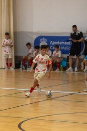 AConecta_MIFC_VDB_DIA1905