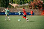 AConecta_MIFC_VDB_DIA2014