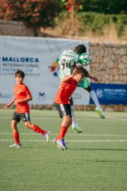 AConecta_MIFC_VDB_DIA2022