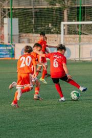 AConecta_MIFC_VDB_DIA2080