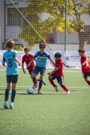 AConecta_DAY-20-28