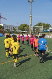 AConecta_DAY-20-73