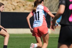 IMG_0662