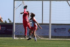 IMG_0737