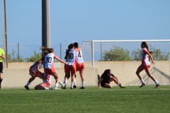 IMG_0881