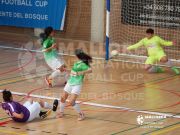 MIFC WOMEN'S TOURNAMENT 2023